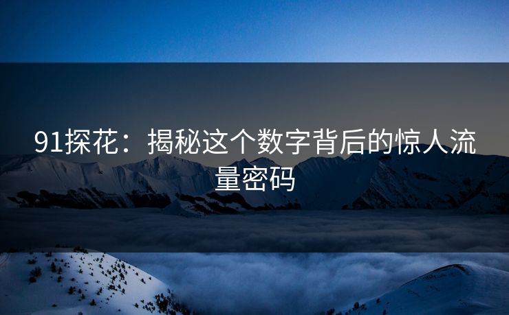 91探花:揭秘这个数字背后的惊人流量密码