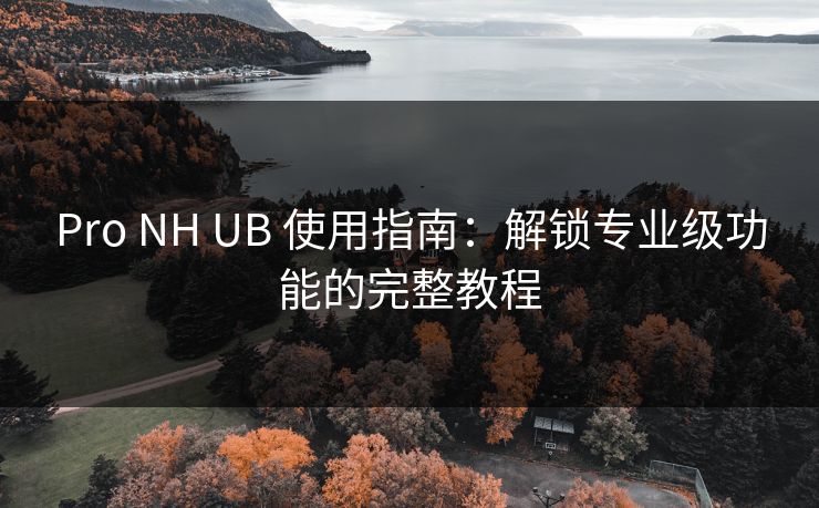Pro NH UB 使用指南:解锁专业级功能的完整教程