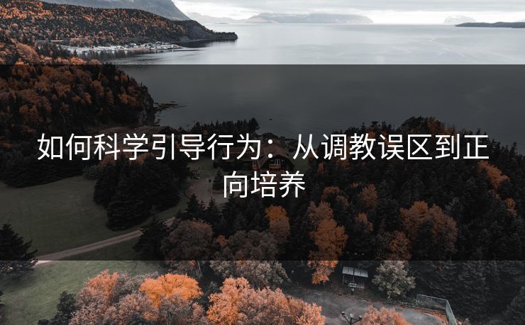 如何科学引导行为：从调教误区到正向培养